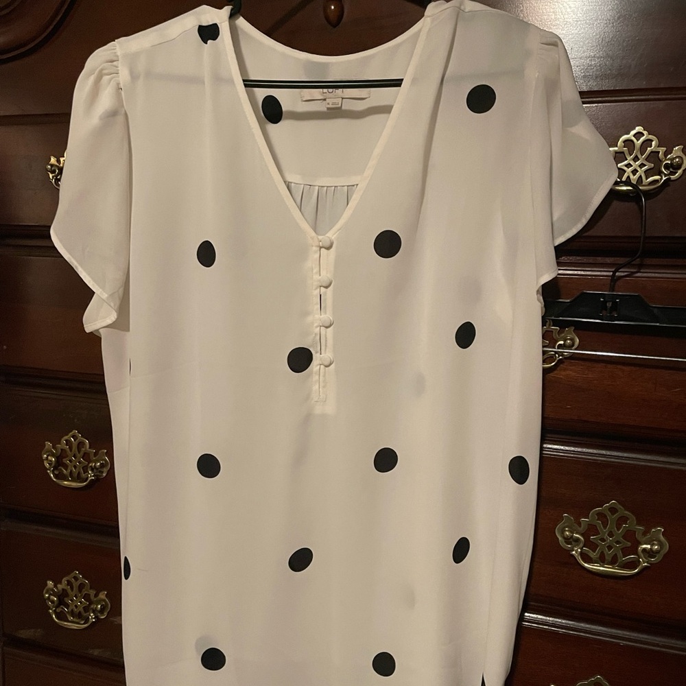 Sheer Women’s blouse size large